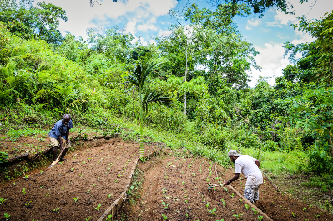 Lent 2024 Week 4 Restored Creation Tearfund Australia   Lent 2024 Week 2 1a 00f3bb7f7ffeee0c6373a0d1a65d6596 